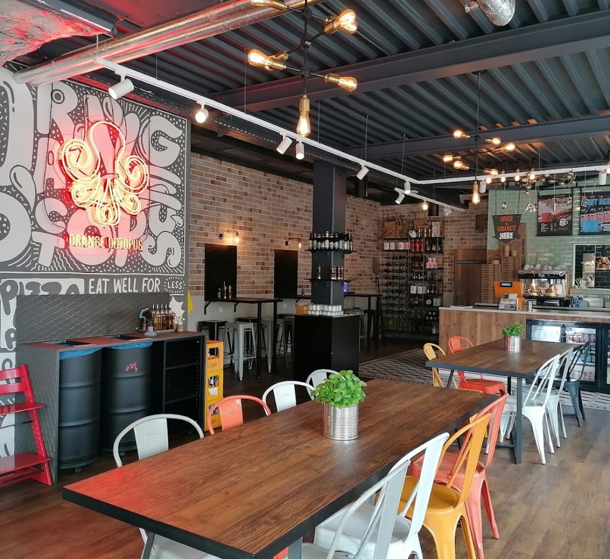 Orangeoctopus kempten